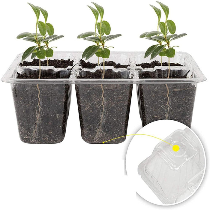 Greenhouse Gardening Essentials: Plastic Seedling Starter Kit for Healthy Plant Growth