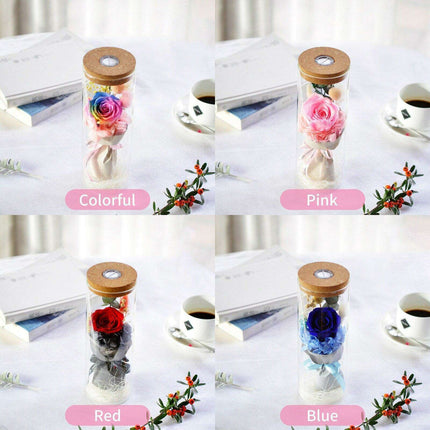 Eternal Blossom Rose - Enchanted Glass Dome Keepsake