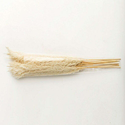 Elegant Vintage White Pampas Grass Bouquet - A Touch of Timeless Charm