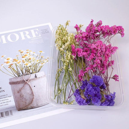 Eternal Floral Inspirations: Preserved Petals for Creative Expressions