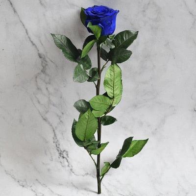 Preserved Rose Stem - Timeless Beauty for Wedding, Home Decor & Mother's Day Gift