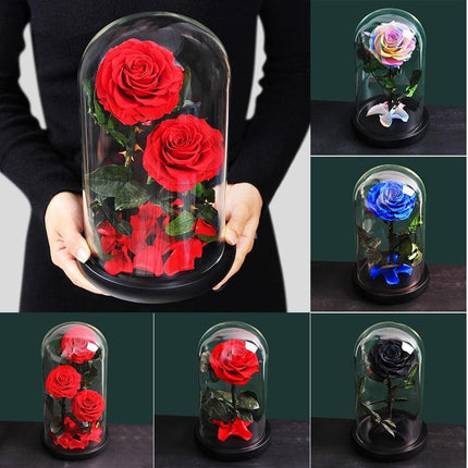 Timeless Romance: Stunning Preserved Rose in Glass Cloche - Authentic Bloom, Lasting Elegance, Enduring Beauty