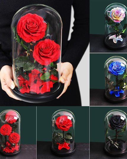 Timeless Romance: Stunning Preserved Rose in Glass Cloche - Authentic Bloom, Lasting Elegance, Enduring Beauty
