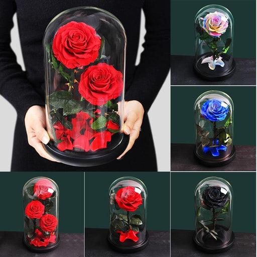Eternal Rose in Glass Dome - Preserved Real Flower, Lasting Elegance, Timeless Keepsake