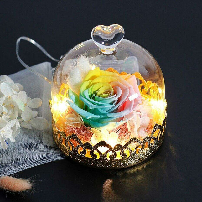 Timeless Elegance: Illuminated Red Roses in Glass Dome