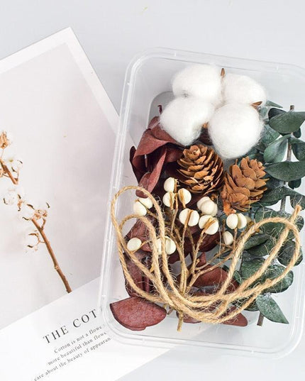 Eternal Floral Inspirations: Preserved Petals for Creative Expressions