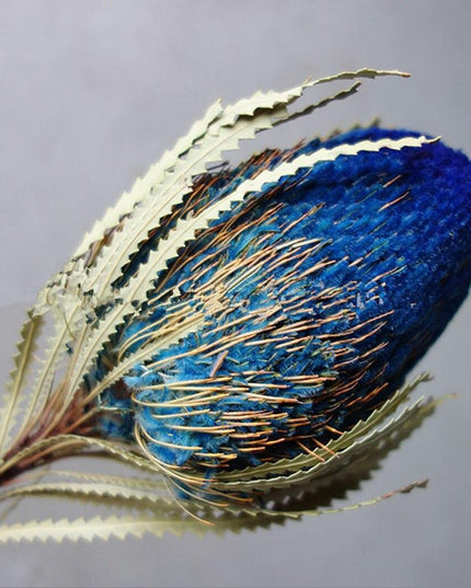 Eternal Banksia Pagoda Floral Arrangement - 30cm Unique Organic Centerpiece for Home and Special Events