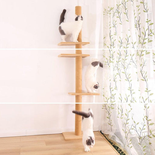 Adjustable Height Domestic Delivery Cat Tree Condo Set with Scratching Post for Feline Entertainment and Furniture Protection