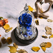 real dark blue rose