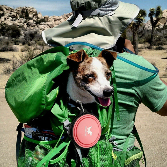 Adventure-Ready Collapsible Silicone Pet Bowl: The Ultimate Travel Feeder for Active Dogs