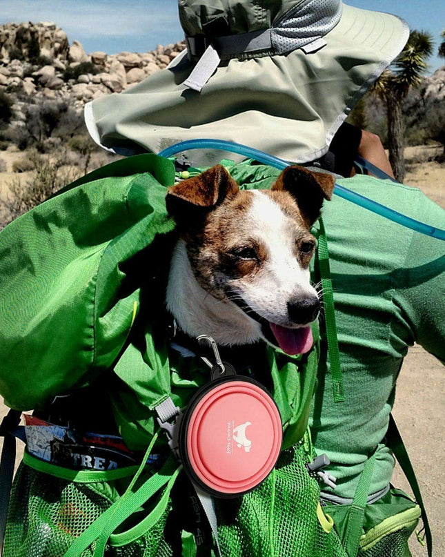 Adventure-Ready Collapsible Silicone Pet Bowl: The Ultimate Travel Feeder for Active Dogs