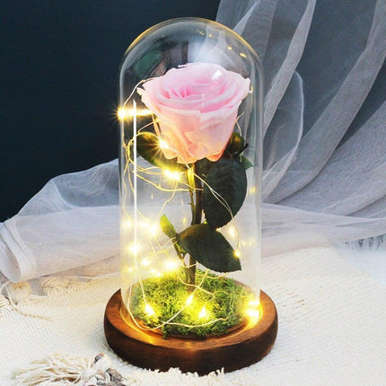 Timeless Romance: Stunning Preserved Rose in Glass Cloche - Authentic Bloom, Lasting Elegance, Enduring Beauty