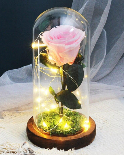 Timeless Romance: Stunning Preserved Rose in Glass Cloche - Authentic Bloom, Lasting Elegance, Enduring Beauty