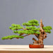 Elegant Chinese-Style Artificial Bonsai Tree: Perfect for Home and Office Aesthetics