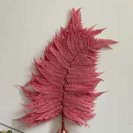 Eternal Green Fiddlehead Ferns Set - 10 Pieces (25x40cm)