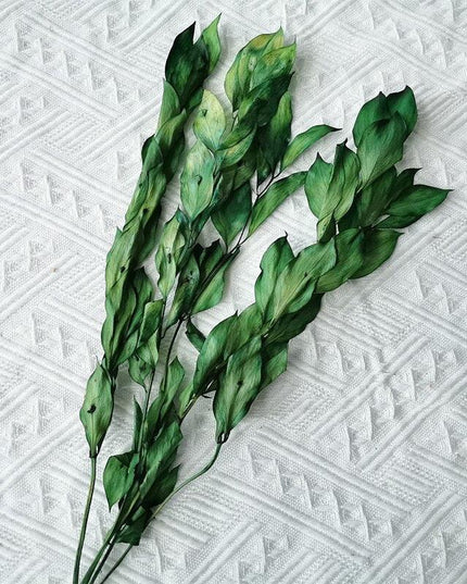 Timeless Elegance: Pack of 5 Preserved Orange Leaf Stems - Natural Floral Decor for Any Occasion