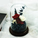 Eternal Charm: Luxurious Rose in Glass Dome Display