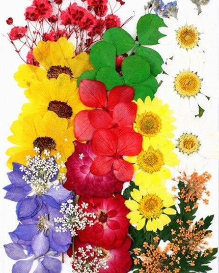 Luxurious Pressed Floral Collection: Aesthetic Inspirations for Creative Projects