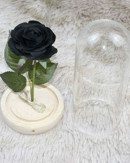 Timeless Elegance Red Pink Rose Glass Dome Display