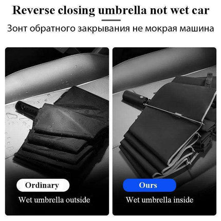 Stylish 10-Rib Compact Automatic Umbrella - Resilient and Trendy