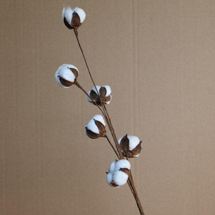 Charming Dried Cotton Flower Arrangement - A Touch of Nature for Home and Weddings