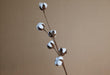 Cotton Blossom Branch Decor Set - Timeless Elegance for Weddings and Home