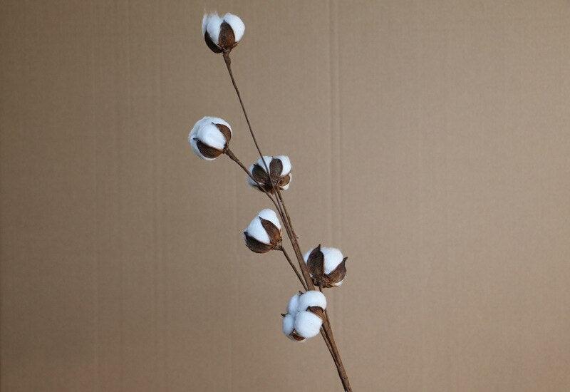 Cotton Blossom Branch Decor Set - Timeless Elegance for Weddings and Home