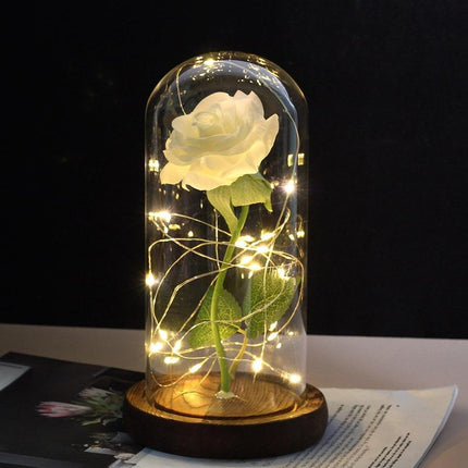 Eternal Rose LED Glass Dome for Enchanting Decor