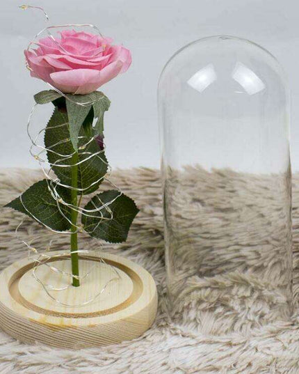 Timeless Elegance Red Pink Rose Glass Dome Display