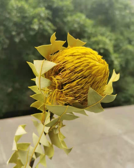 Eternal Banksia Pagoda Floral Arrangement - 30cm Unique Organic Centerpiece for Home and Special Events