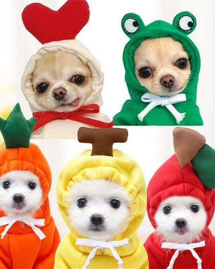 Chic Hooded Winter Jacket for Small Dogs - Fashionable Warmth for Tiny Tails