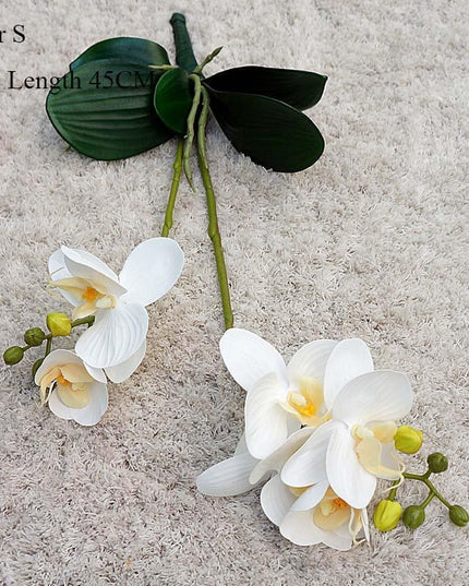 Elegant White Orchid Blooms for Upscale Home and Event Styling