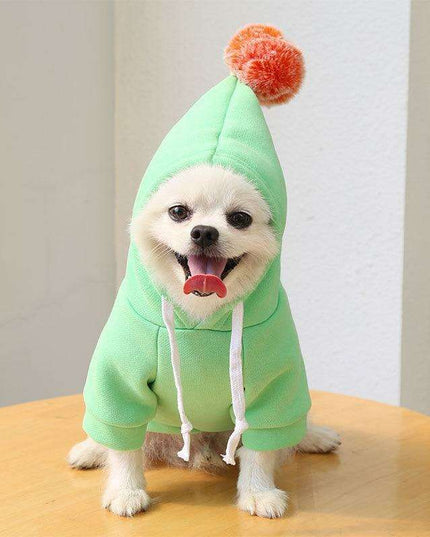 Chic Hooded Winter Jacket for Small Dogs - Fashionable Warmth for Tiny Tails