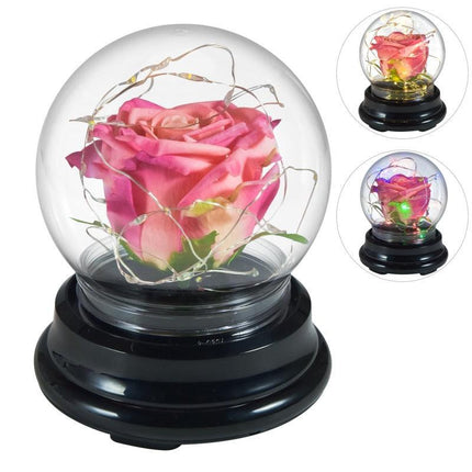 Eternal Glow Rose Dome - Illuminated Floral Beauty