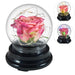 Eternal Glow LED Flower Dome - Enchanting Preserved Rose with Illuminating LED