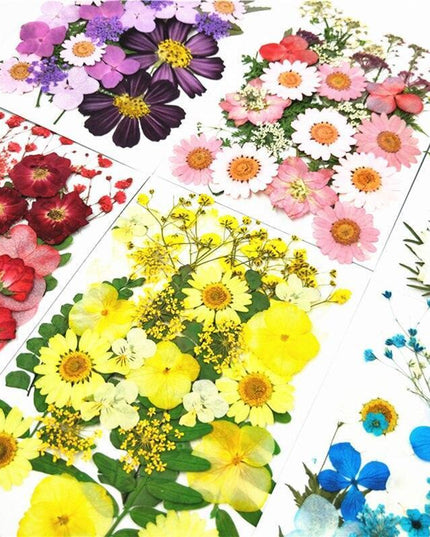 Luxurious Pressed Floral Collection: Aesthetic Inspirations for Creative Projects