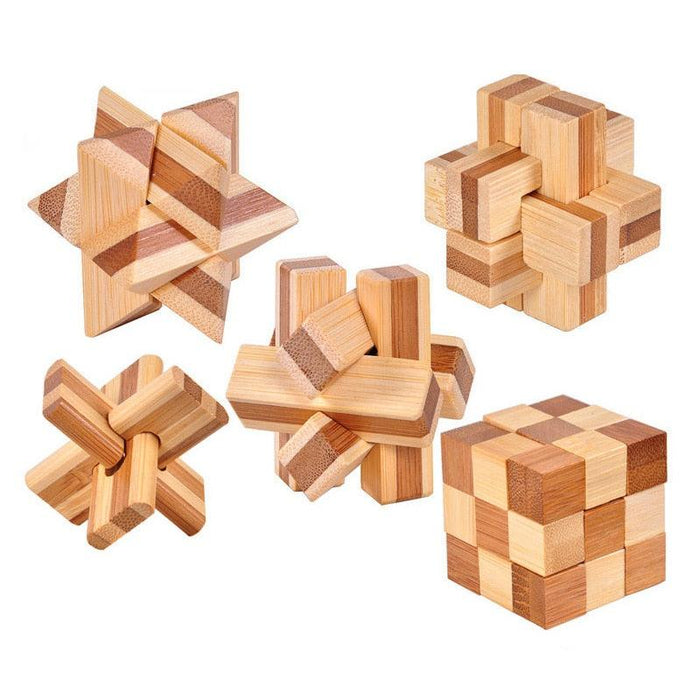 Mind Mastery Wooden Brain Teaser Puzzle - Educational Game for All Ages