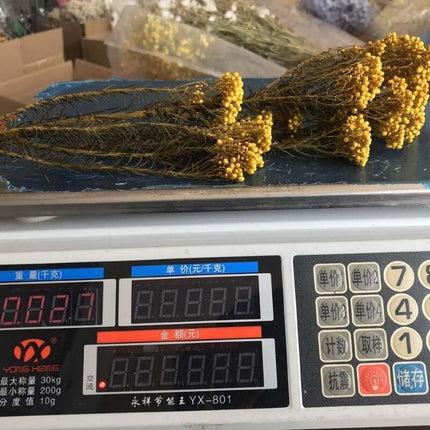 Timeless Treasures: Preserved Millet Flowers for Elegant Wedding Decor