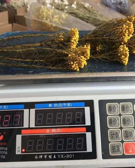 Timeless Treasures: Preserved Millet Flowers for Elegant Wedding Decor