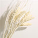 Bohemian Charm Dried Floral Arrangement Set - Elegant Decor for Home and Events