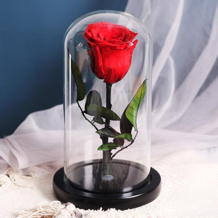 Timeless Romance: Stunning Preserved Rose in Glass Cloche - Authentic Bloom, Lasting Elegance, Enduring Beauty