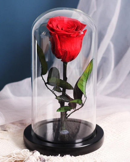 Timeless Romance: Stunning Preserved Rose in Glass Cloche - Authentic Bloom, Lasting Elegance, Enduring Beauty