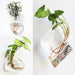Nordic Style Glass Wall Vase for Elegant Home Decor