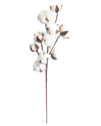 Charming Dried Cotton Flower Arrangement - A Touch of Nature for Home and Weddings