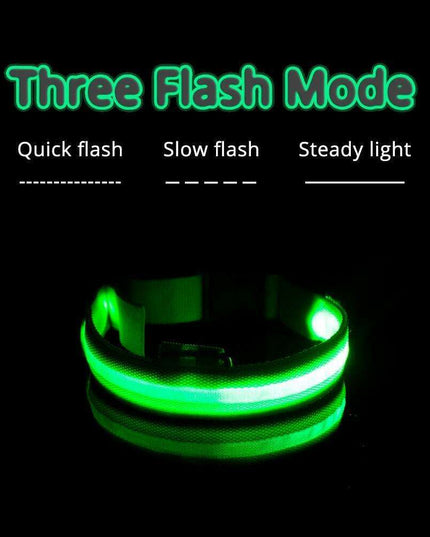 Illuminate & Protect: Rechargeable Waterproof LED Dog Collar for Enhanced Nighttime Safety