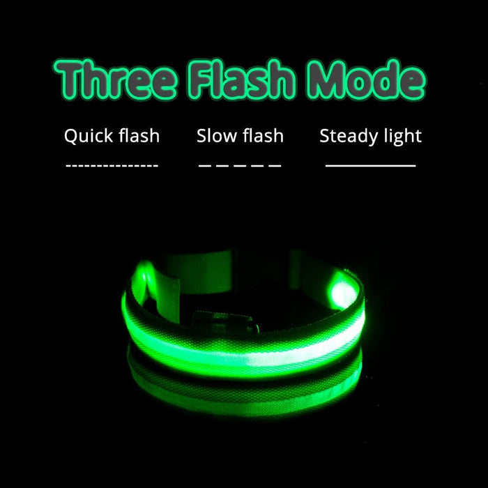 LED Light-Up Dog Collar | Waterproof & Adjustable Glow Collar