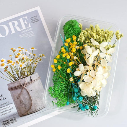 Eternal Floral Inspirations: Preserved Petals for Creative Expressions