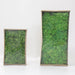 Vibrant Everlasting Green Moss Wall Decor