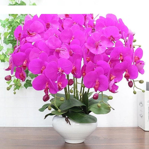 Sophisticated Realistic Orchid Potted Plant: Versatile Home Decor Accent