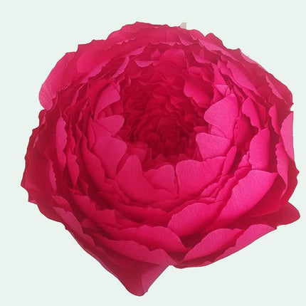 Majestic Giant Peony Paper Flower Crafting Set